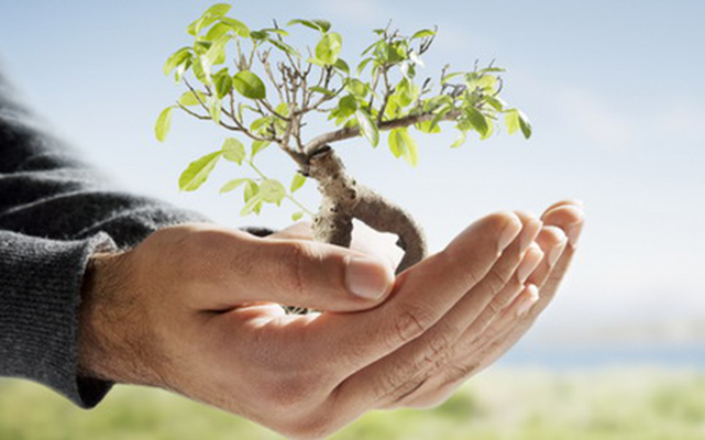 Regions will be developed with 1.3 billion. Euro