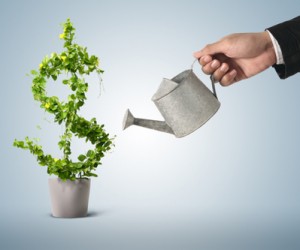64% от подадените проекти на млади фермери ще се борят за финансиране