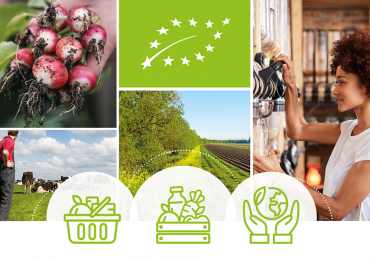 Premi per la produzione biologica